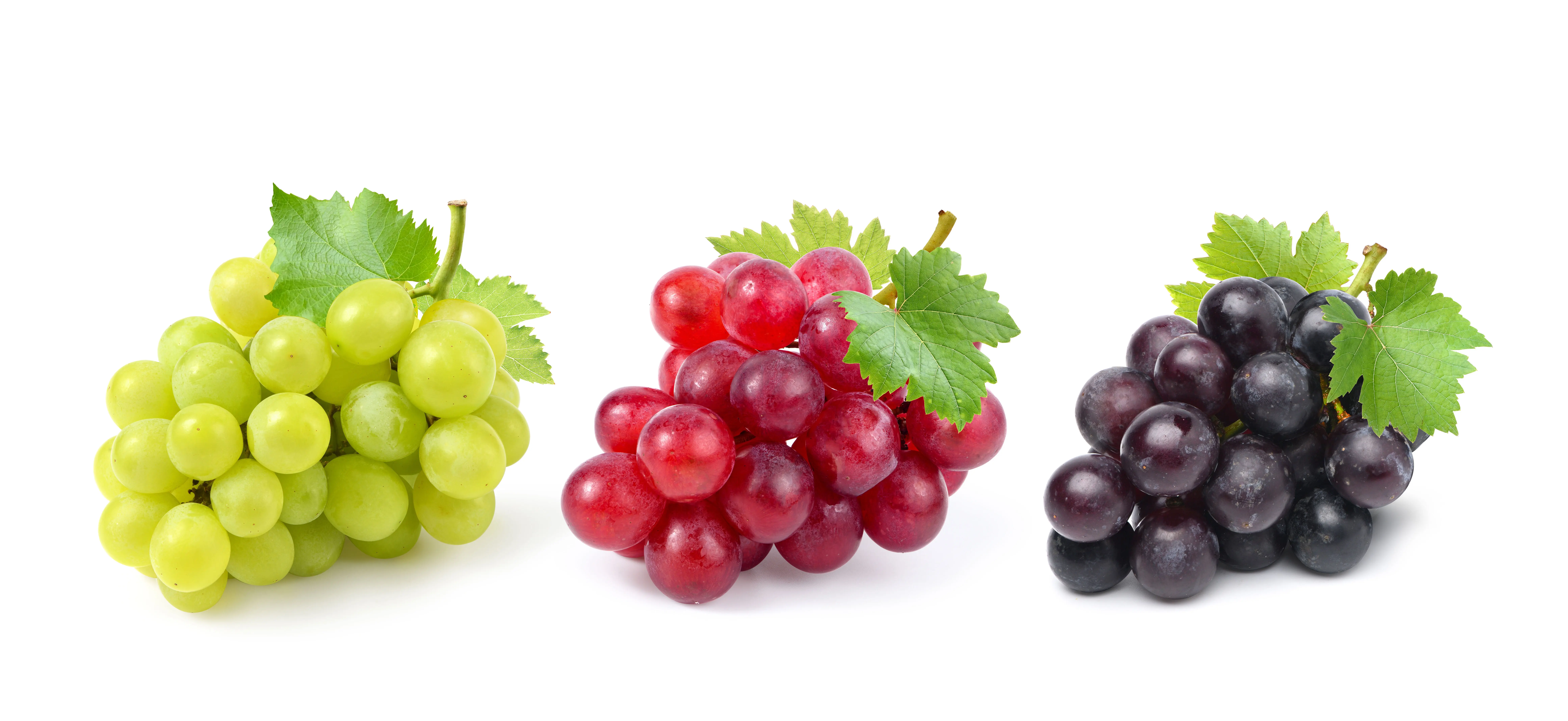 Table Grapes